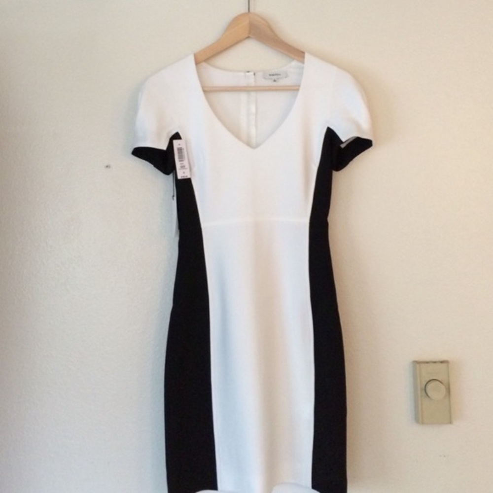 Babaton by Aritzia dress NWT